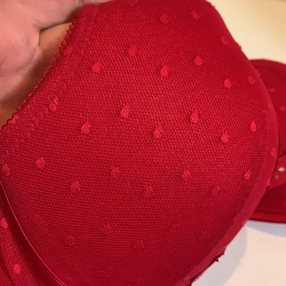 LAVIE EN ROSE - Picture 5 of 15